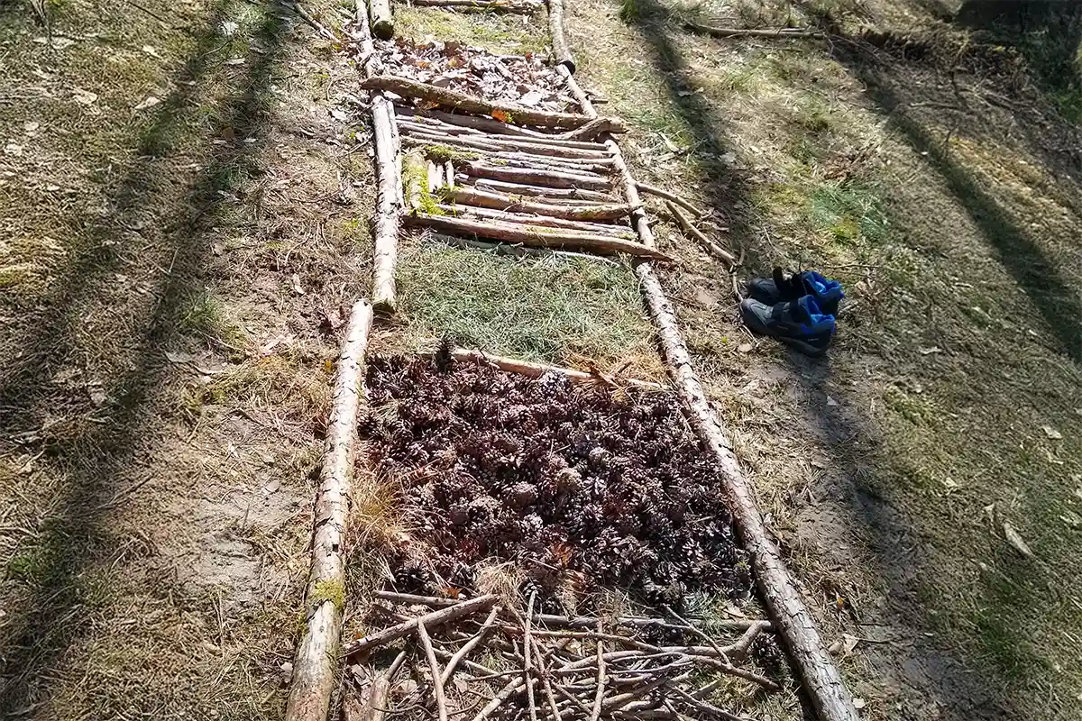 Barfuß im Wald - Natürliche Verbundenheit