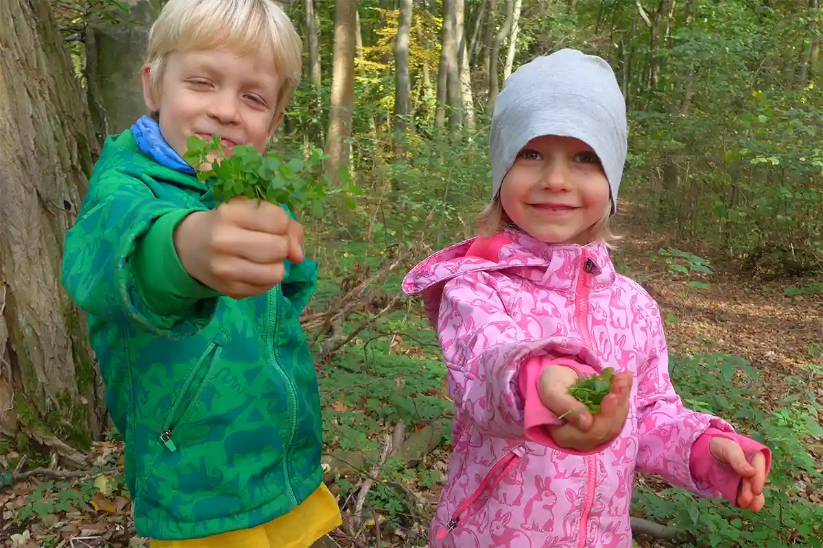 Blumen im Wald - Naturerlebnis