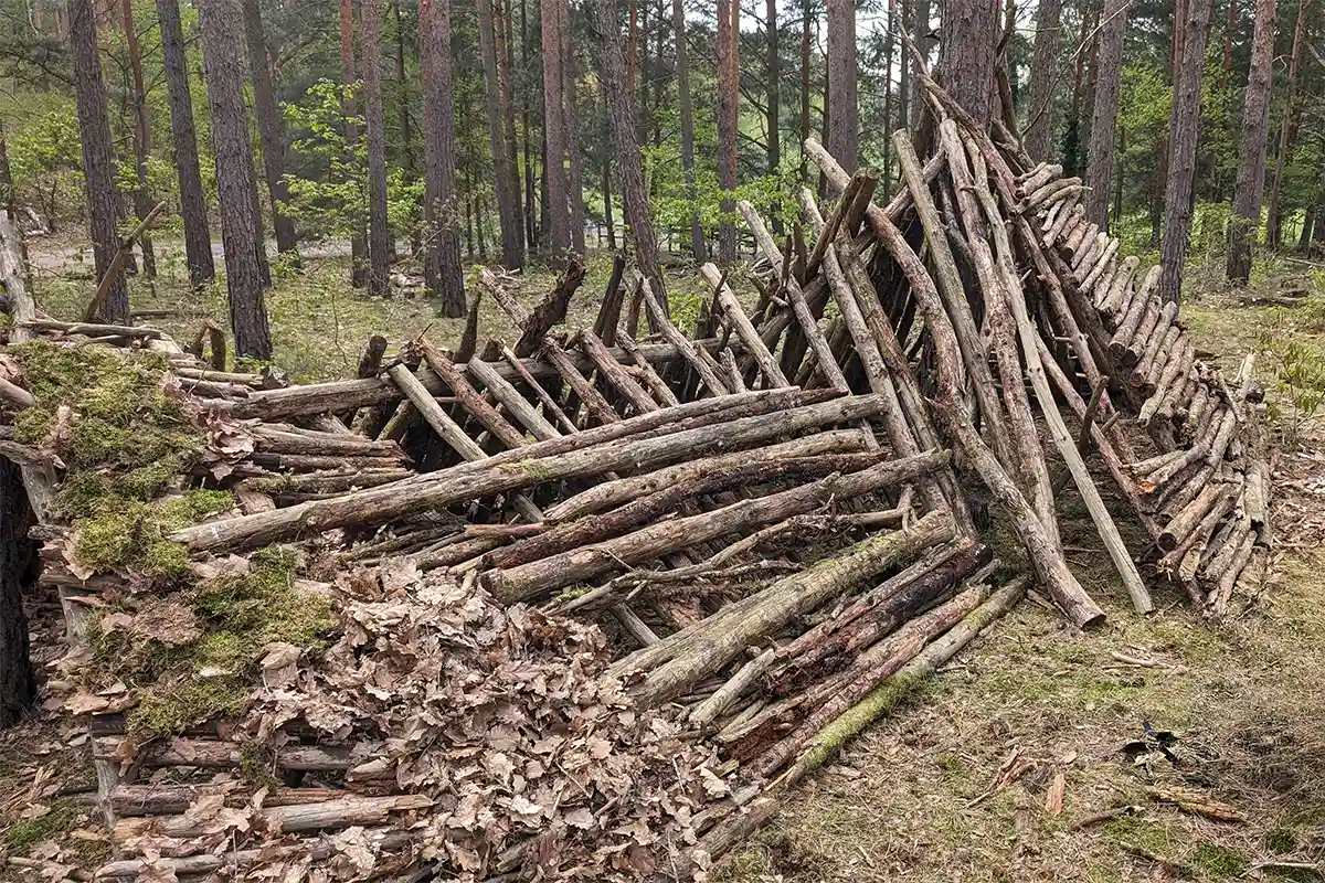 Holzhütte im Wald