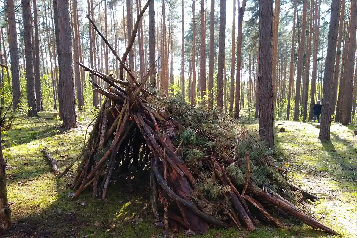 Selbstgebaute Hütte aus Ästen im Wald, entstanden während eines Wildnisabenteuers im Ostercamp von Wildnispfade.