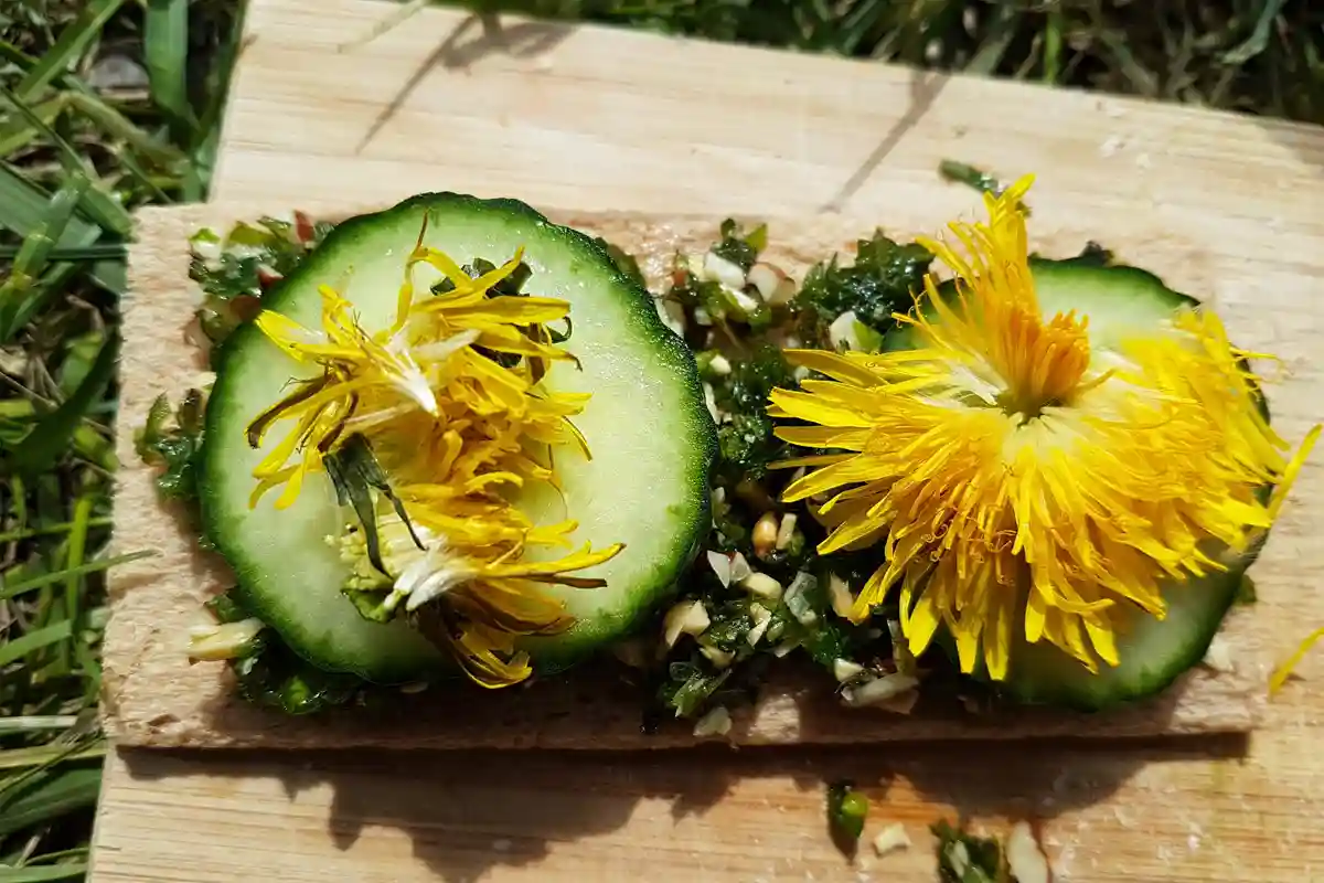 Gesunde Outdoor-Mahlzeit im Wildniscamp von Wildnispfade: Knäckebrot belegt mit Gurkenscheiben, Löwenzahnblüten und Kräutern, frisch zubereitet in der Natur.