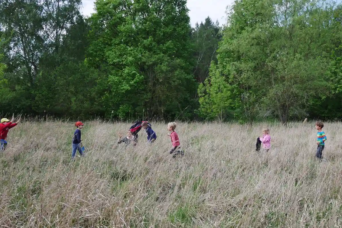 Kinder im Wildniscamp von Wildnispfade spielen fröhlich in einer Wiese, umgeben von Wald, und erleben unvergessliche Naturabenteuer.