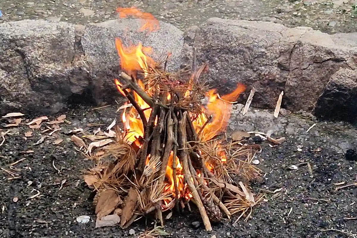 Kinder spazieren durch den Wald