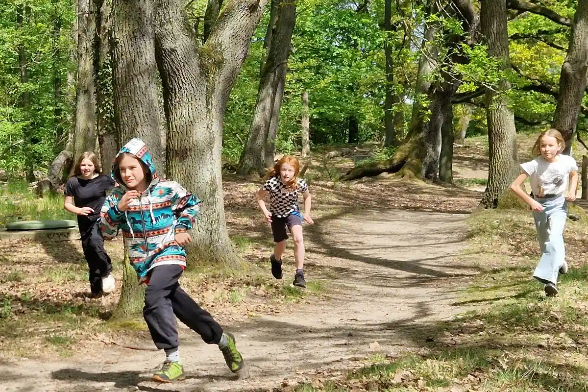 Kinder im Wald beim Sommerabenteuer