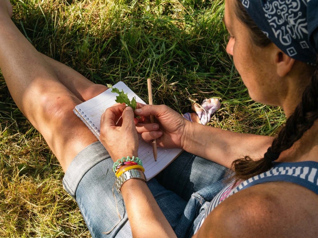 Pflanzen werden durch Nature Journaling Aufgaben intensiver kennengelernt.