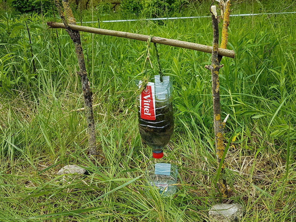 selbstgebauter Wasserfilter aus einer PET-Flasche und Naturmaterialien