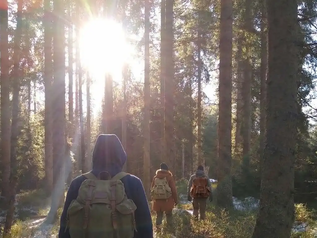 Eine Gruppe Erwachsener geht durch einen Wald.