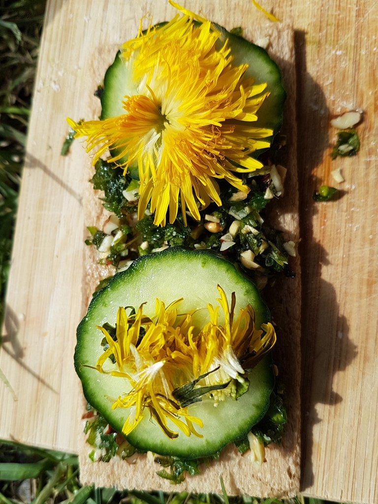 Ein Brot mit Wildkräuterpesto, Gurkenscheiben und Löwenzahnblüten.