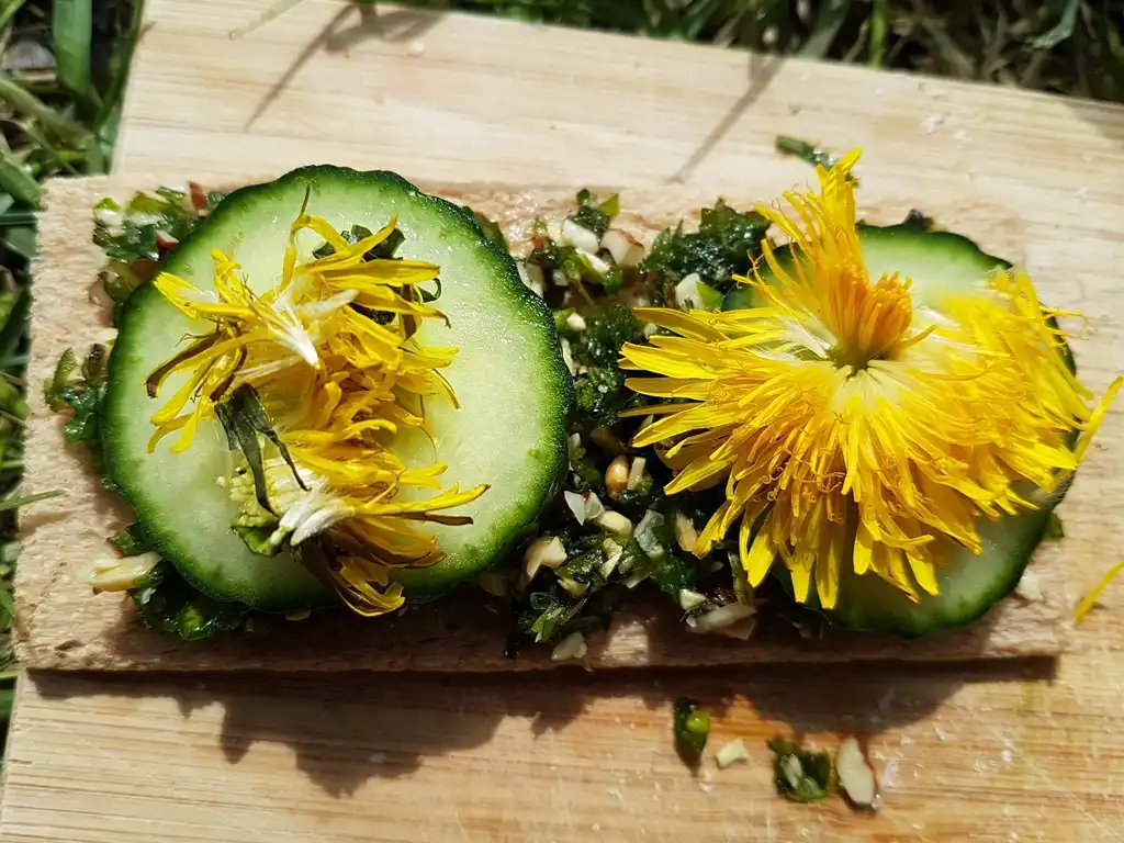 Ein Brot mit Wildkräuterpesto, Gurkenscheiben und Löwenzahnblüten.