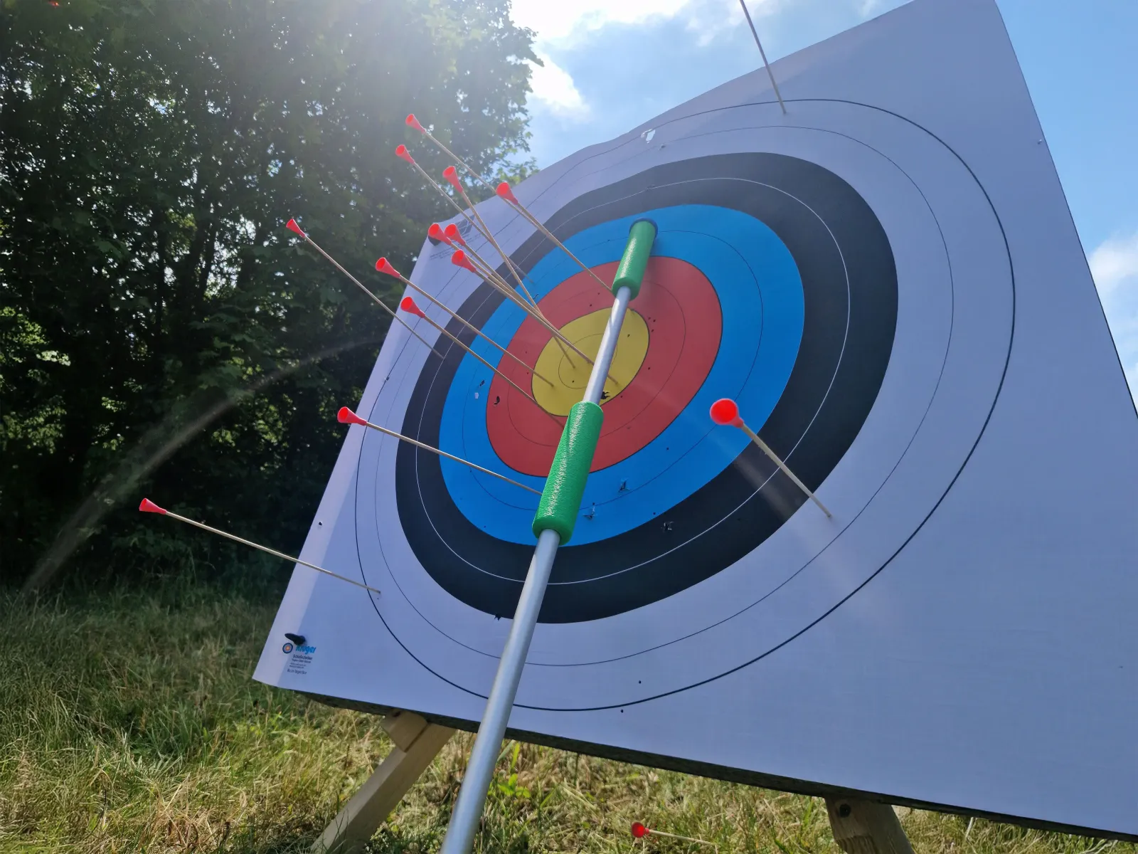Zielscheibe mit Pfeilen vom Blasrohrschießen