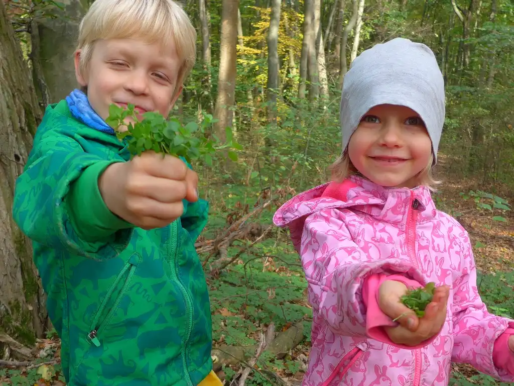 Zwei Kinder sammeln Wildkräuter im Wald.