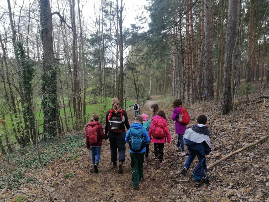 Eine Klasse erkundet zu Fuß den Wald.