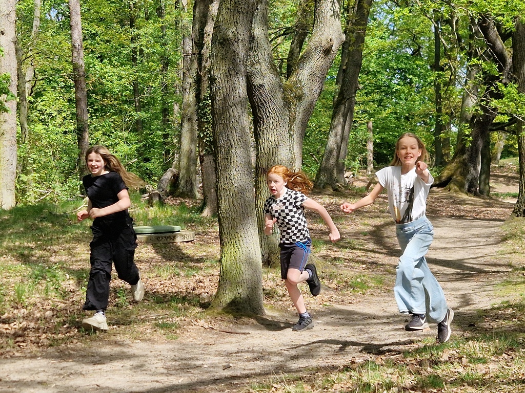 Schüler einer Klasse spielen ein Teamspiel im Wald.
