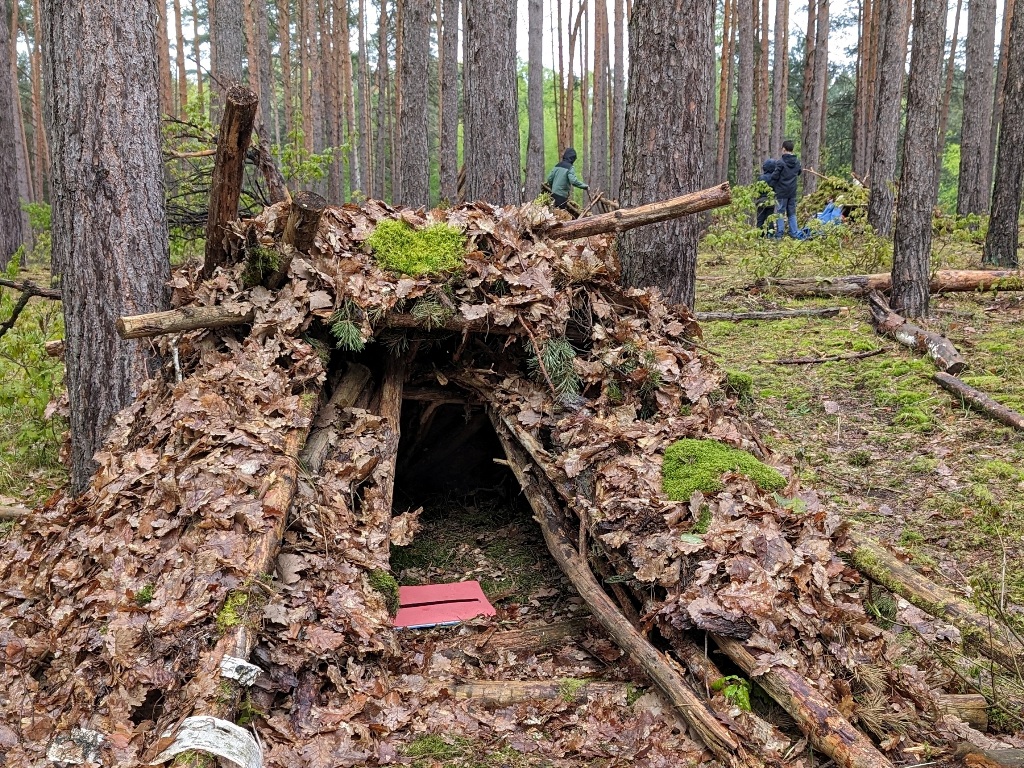 Kinder bauen eine Hütte beim Waldtag ihrer Klasse.